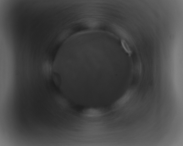 X0000100940180200807081242