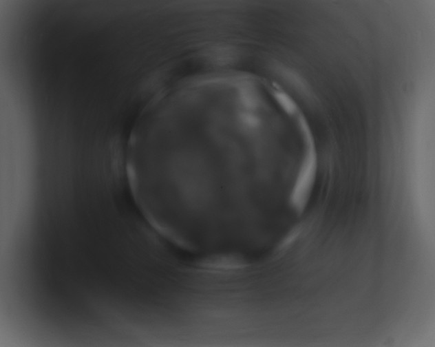 X0000100940181200807081243