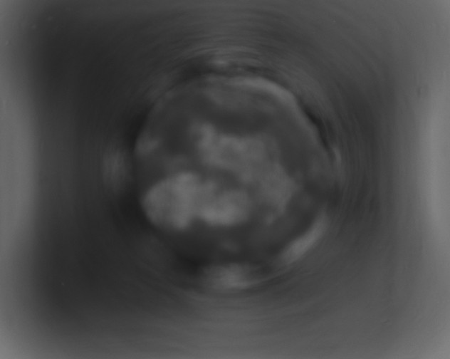 X0000100940182200807081243