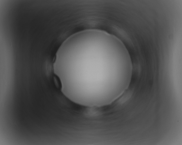 X0000100940188200807081243