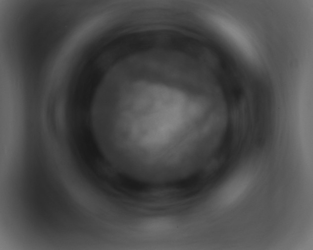 X0000100940189200807081243