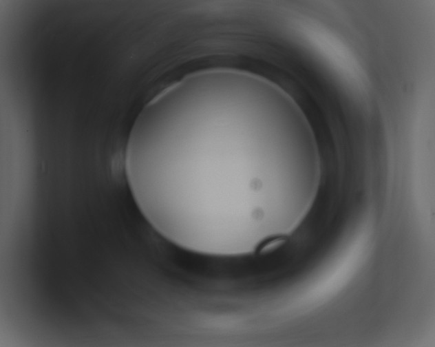 X0000100940190200807081243