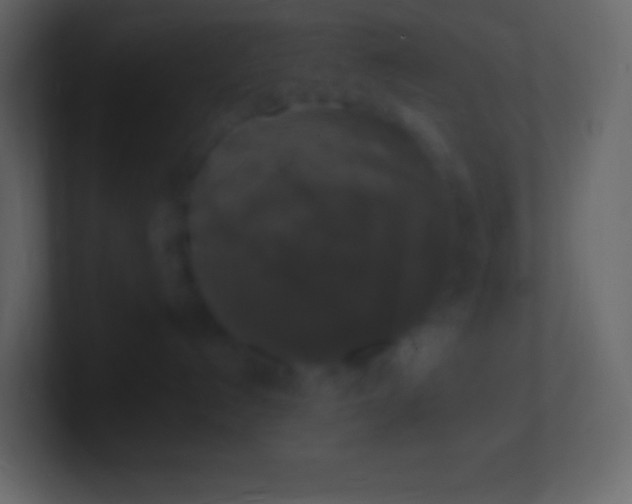 X0000100940192200807081243