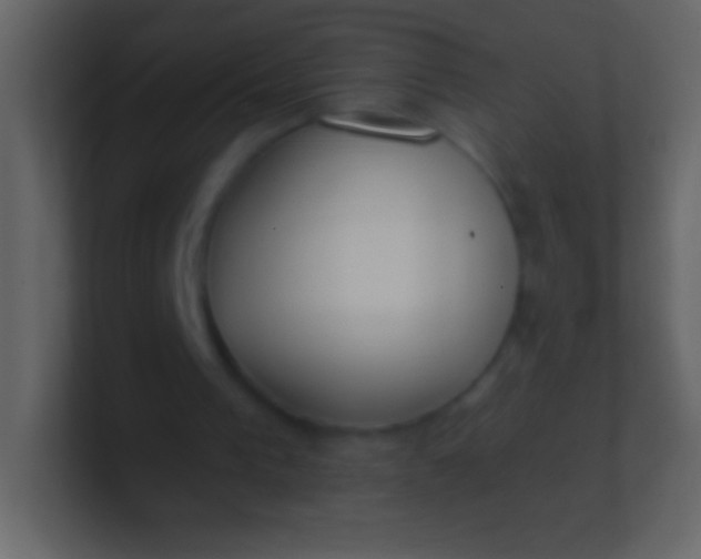 X0000100940193200807081242