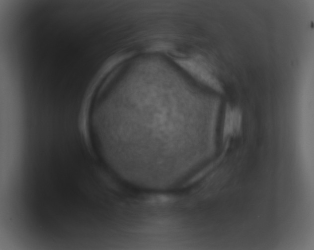 X0000100940195200807081242