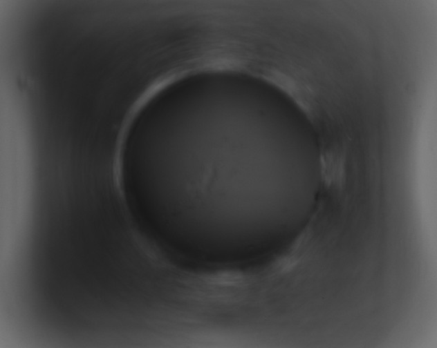 X0000100940196200807081242