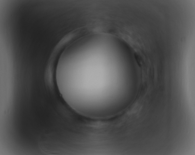 X0000100940197200807081242