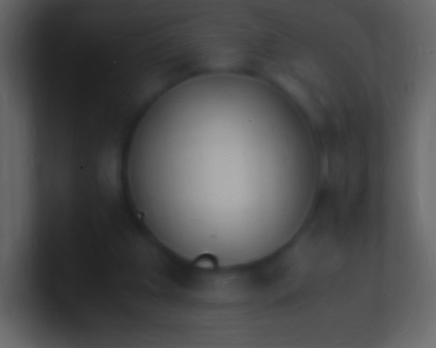 X0000100940201200807081242