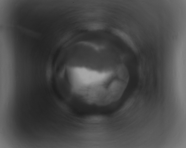 X0000100940202200807081242