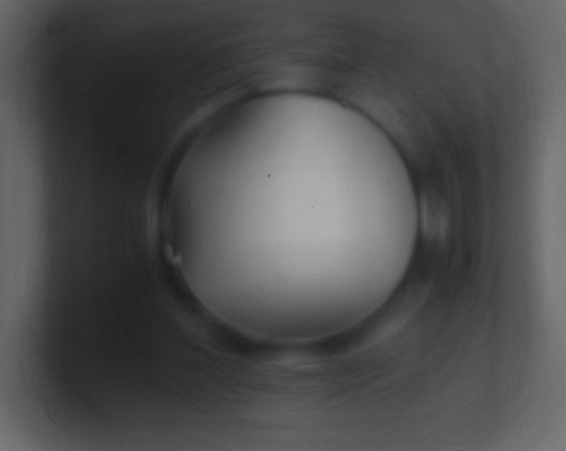 X0000100940204200807081242