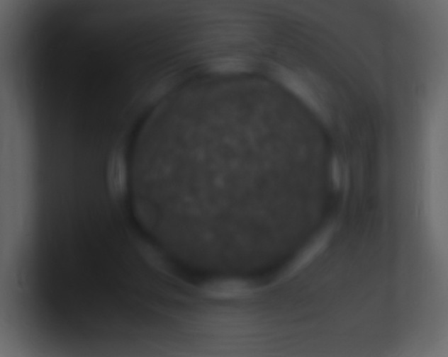 X0000100940205200807081242