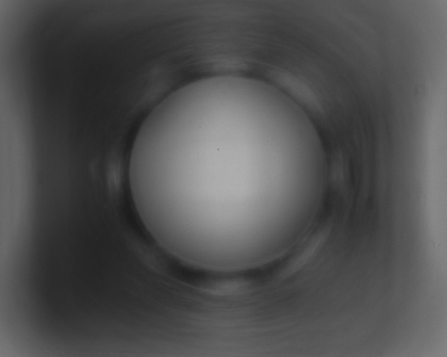 X0000100940206200807081242