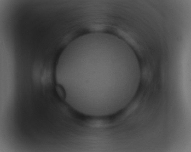 X0000100940209200807081242