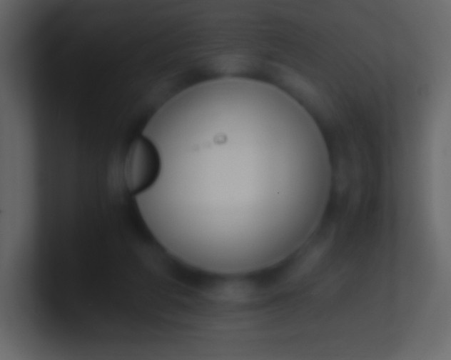 X0000100940210200807081242