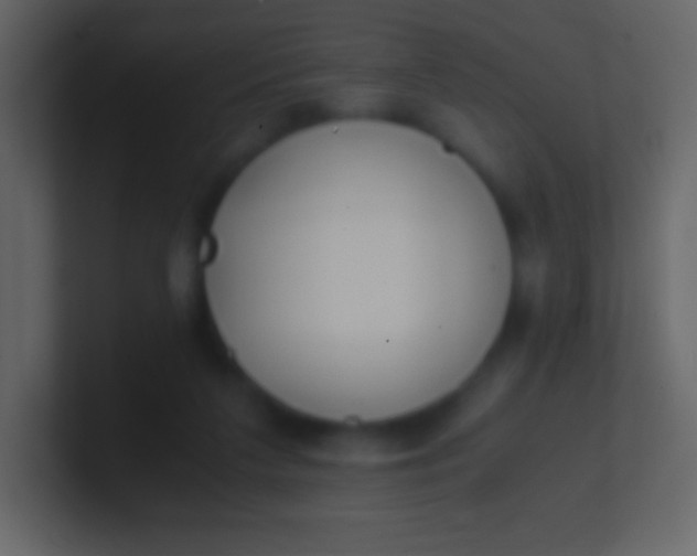 X0000100940211200807081242