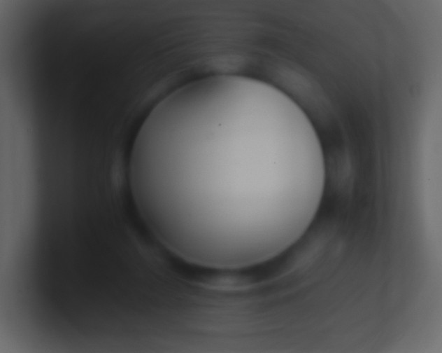 X0000100940212200807081242