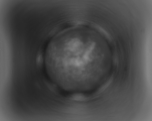 X0000100940214200807081242