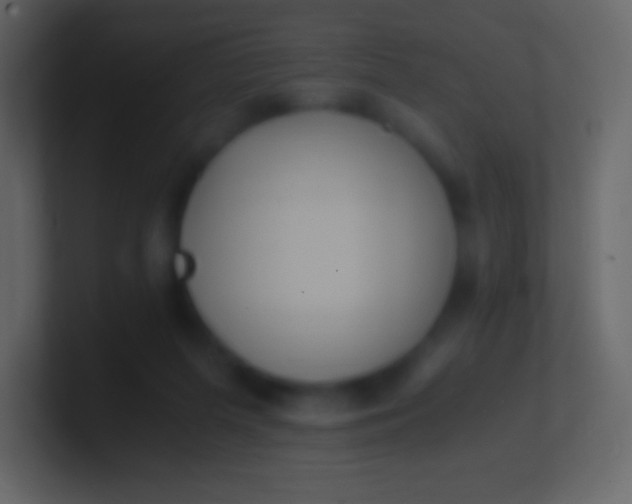 X0000100940215200807081242