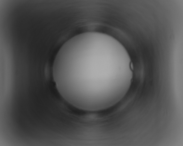 X0000100940216200807081242