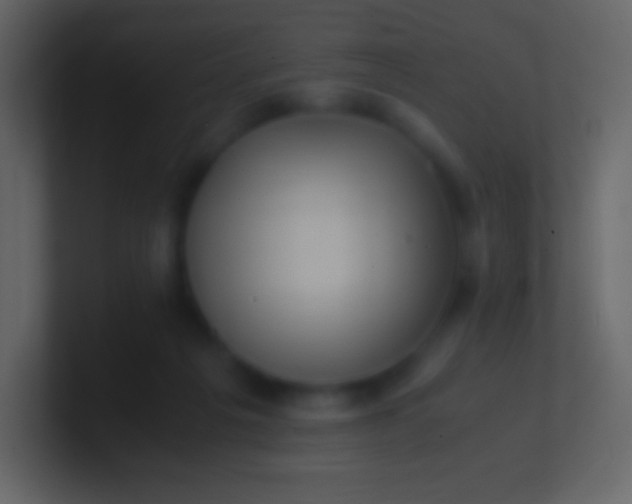 X0000100940217200807081242