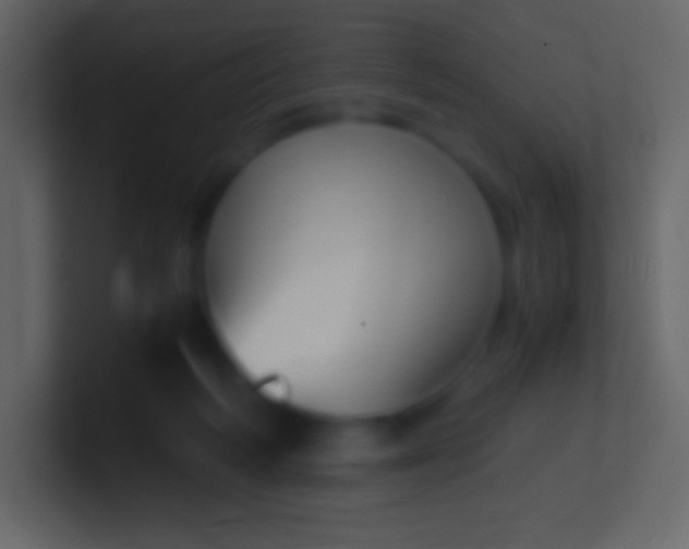 X0000100940218200807081242