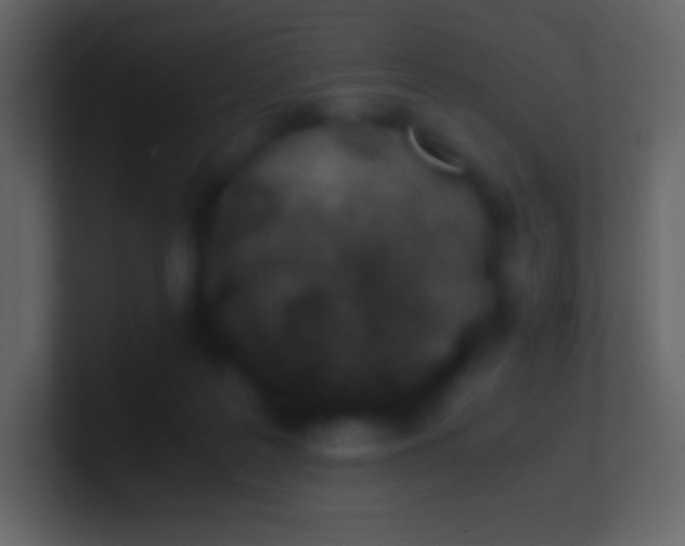 X0000100940219200807081242