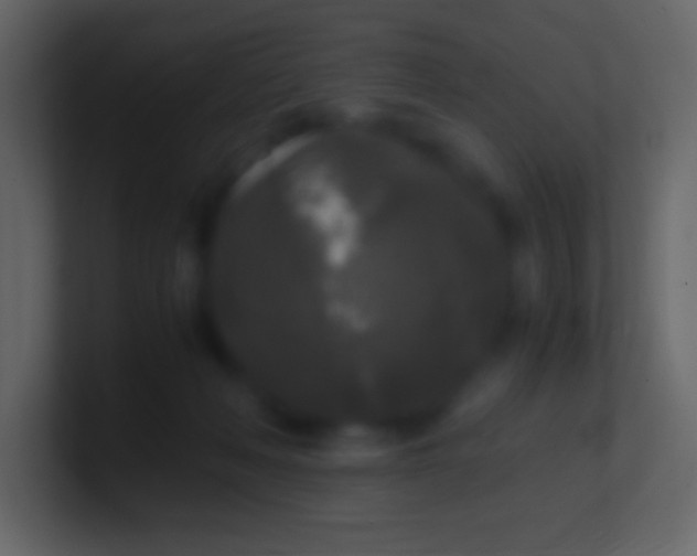 X0000100940222200807081242