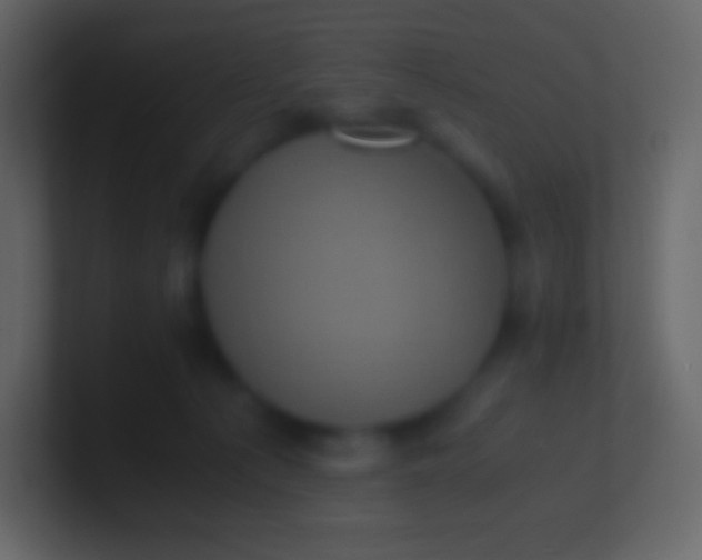 X0000100940225200807081242