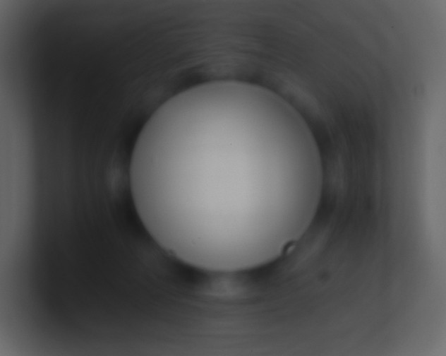 X0000100940226200807081241