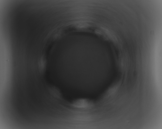 X0000100940227200807081241