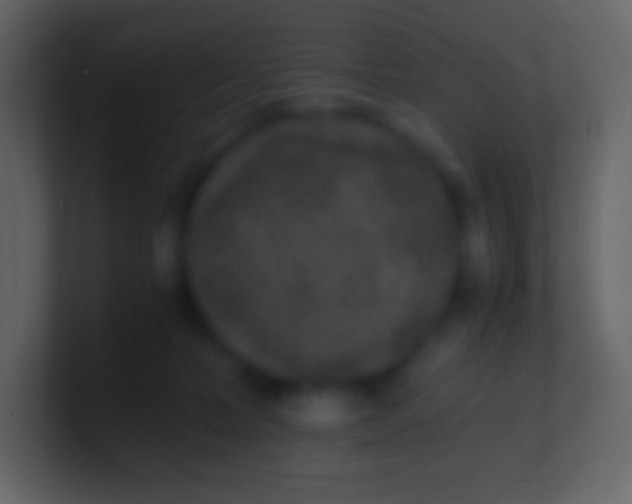 X0000100940228200807081241