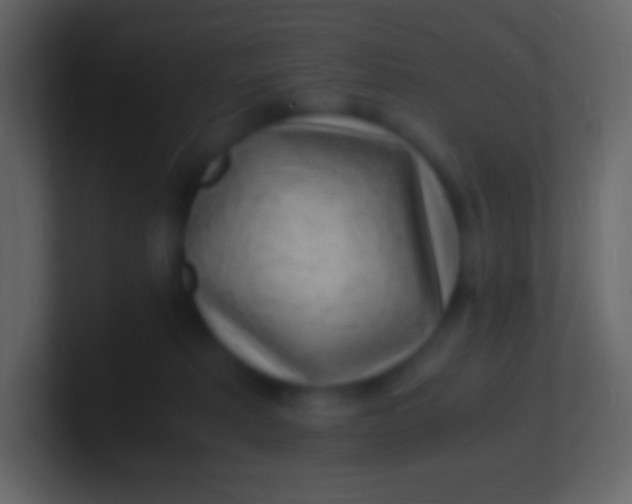 X0000100940229200807081241