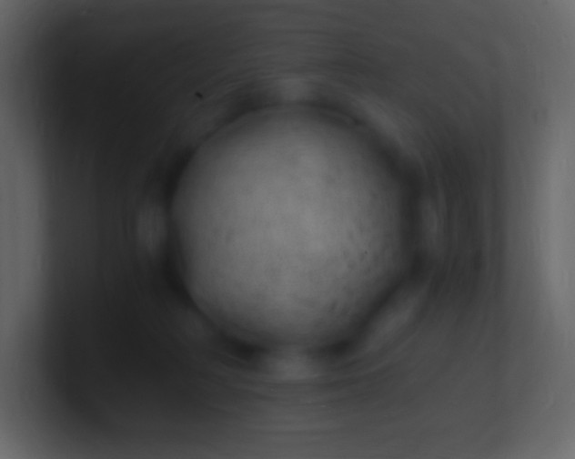 X0000100940230200807081241