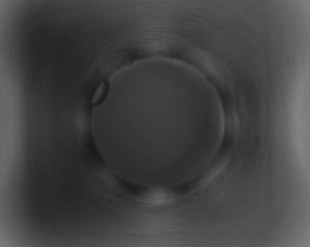 X0000100940231200807081241