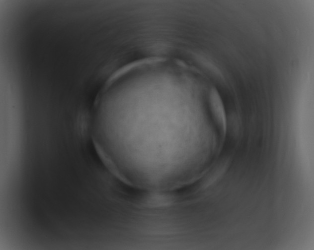 X0000100940234200807081241