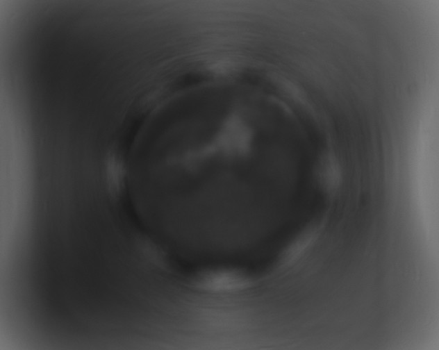 X0000100940235200807081241