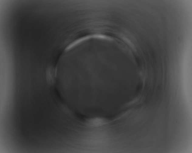 X0000100940237200807081241