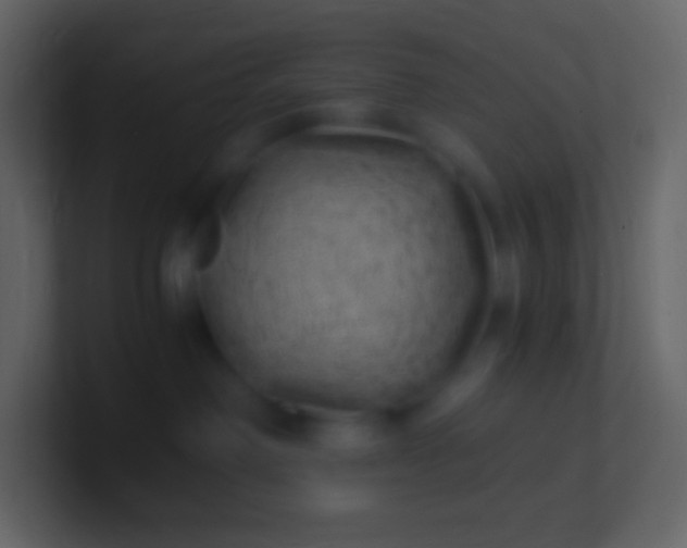 X0000100940238200807081241