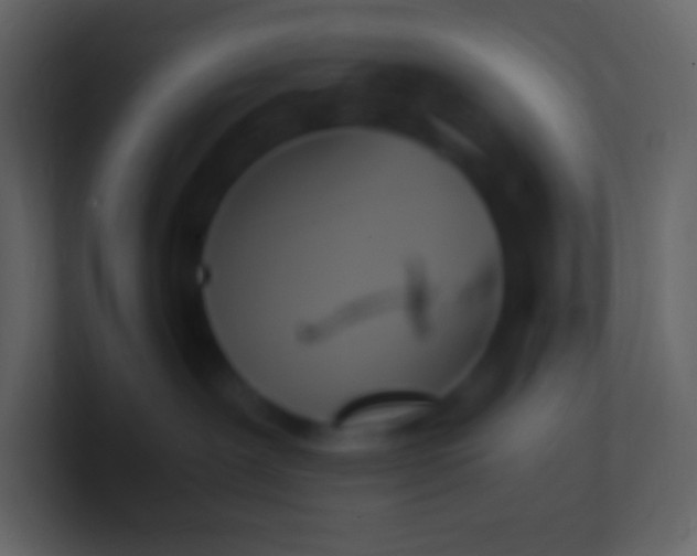 X0000100940239200807081241