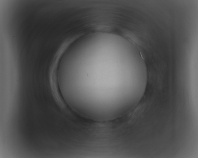 X0000100940241200807081241