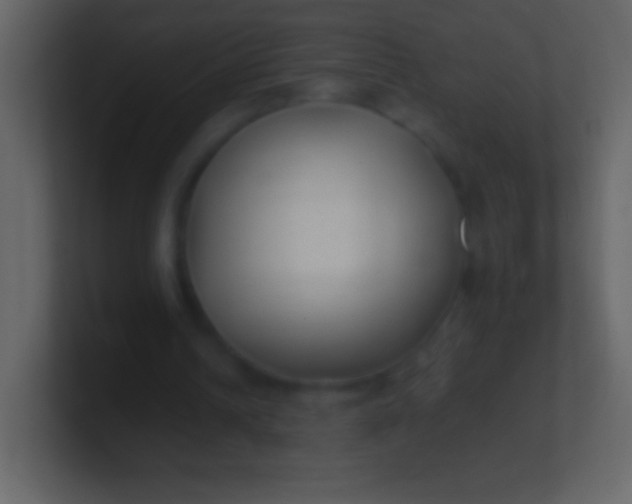 X0000100940242200807081241