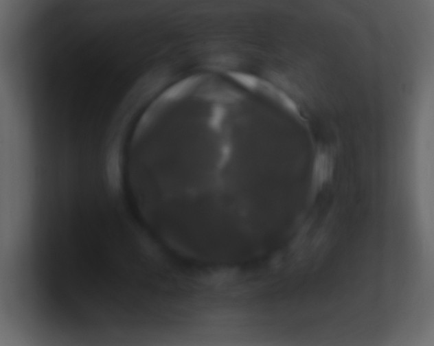 X0000100940243200807081241