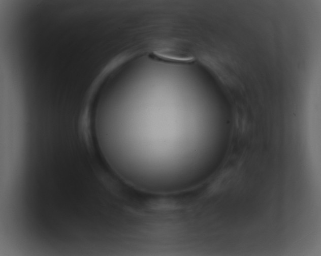 X0000100940244200807081241