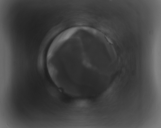 X0000100940247200807081241