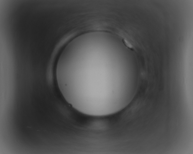 X0000100940248200807081241