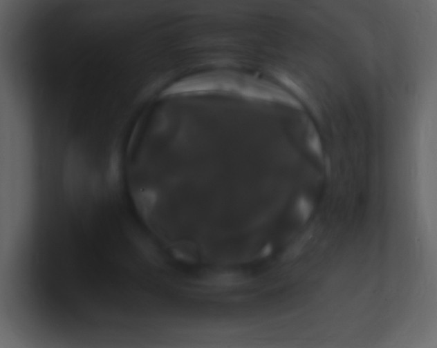 X0000100940249200807081241