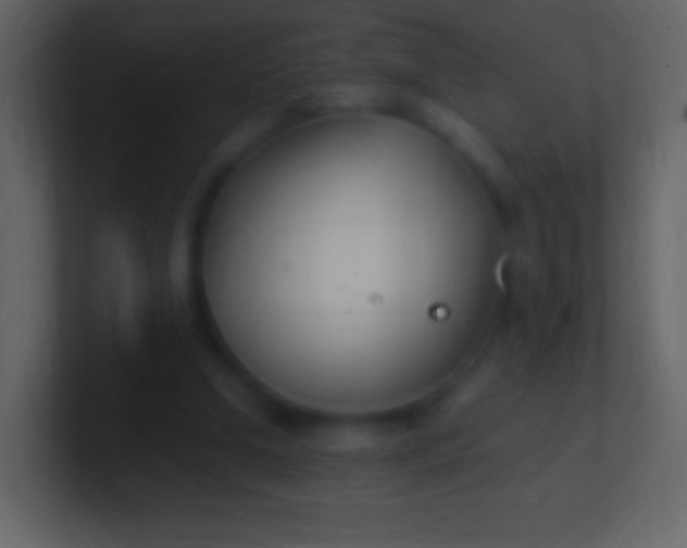 X0000100940250200807081241