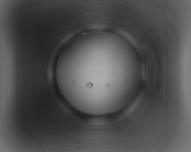 X0000100940252200807081241