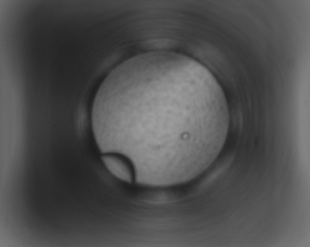 X0000100940254200807081241