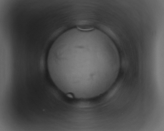 X0000100940256200807081241